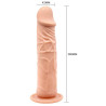Barbara - BAILE Gode ventouse Baile Calvin 18 x 4cm
